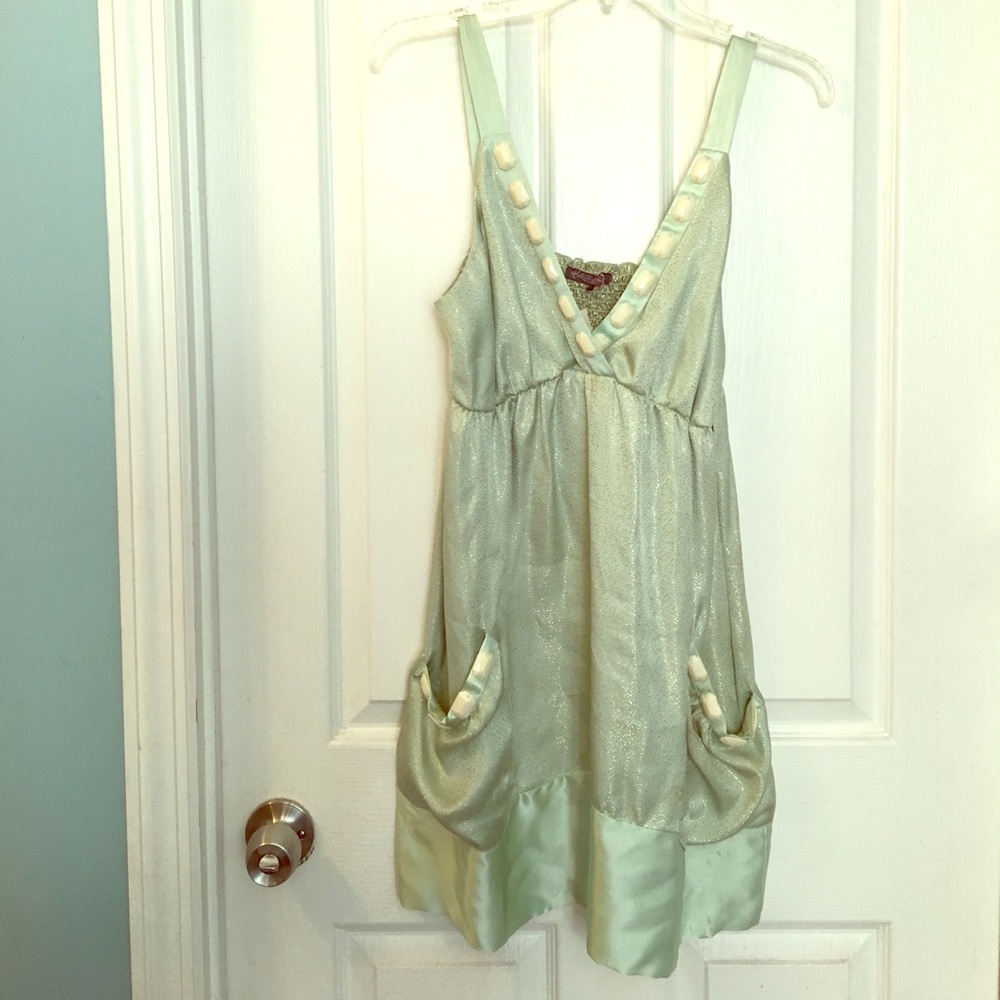 NWT Silk dress