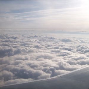 Meet your Posher, Reagan