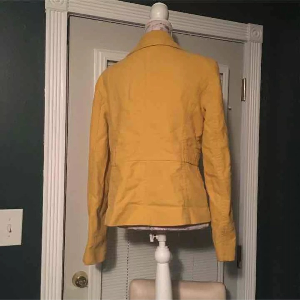 Yellow jacket - Picture 2 of 3