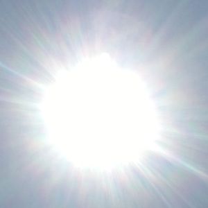 Meet your Posher, Owen