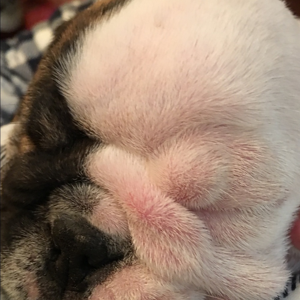 Meet your Posher, Sonia