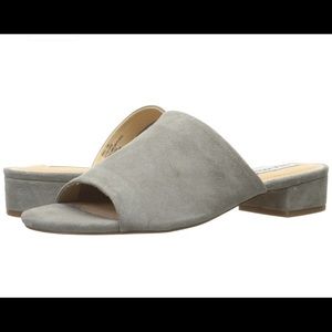 Steve Madden Briele Mules in Grey Suede