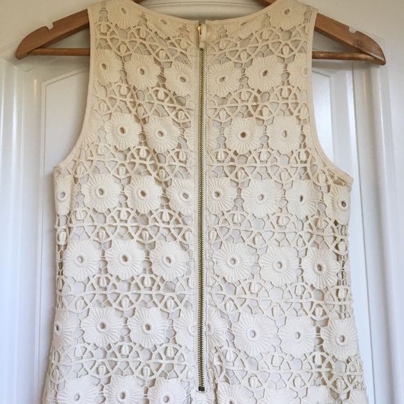 Beautifully Made Lace Shift Dress - Picture 3 of 5