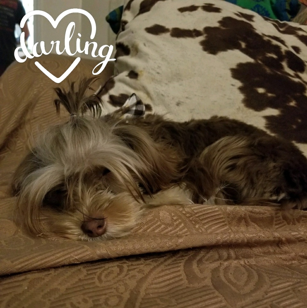 Meet your Posher, Sarah & Ichabod