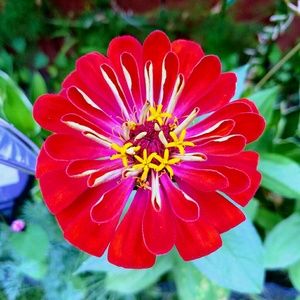 Meet your Posher, Alexander