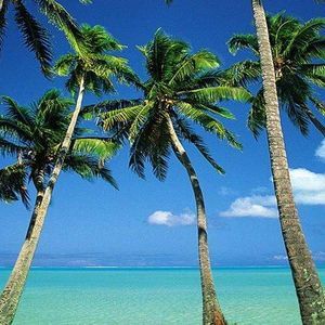 Meet your Posher, Leanna