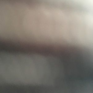 Meet your Posher, Gracie