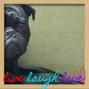 Meet your Posher, Jerry