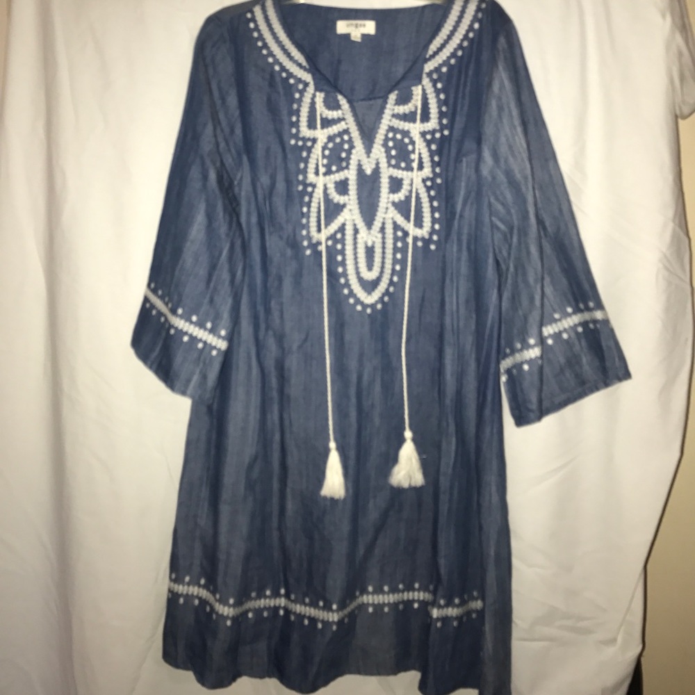Umgee denim dress