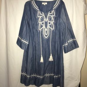 Umgee denim dress