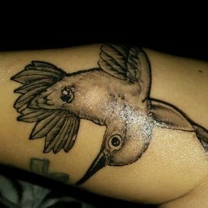 Meet your Posher, Barbara