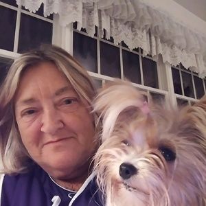 Meet your Posher, Carol