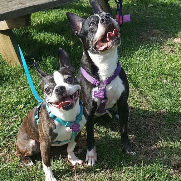 Meet your Posher, Tammy - Picture 1 of 1