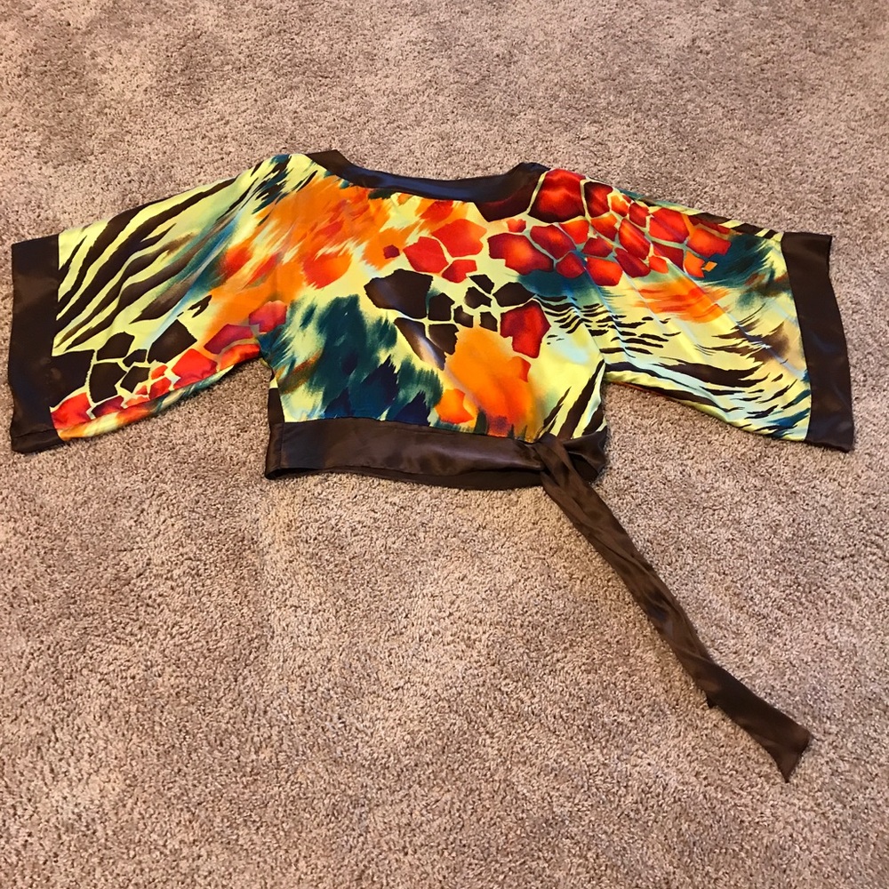 Cache multi color kimono blouse