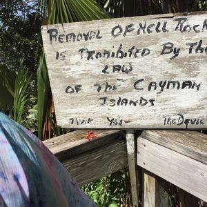 Meet your Posher, Steve