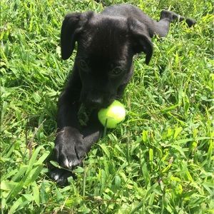 Meet your Posher, Marissa