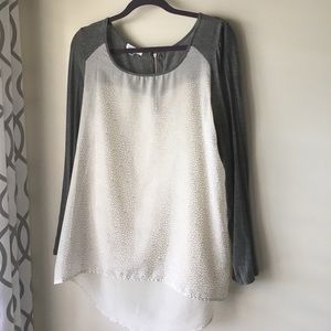 Dotted High Low Sheer Top