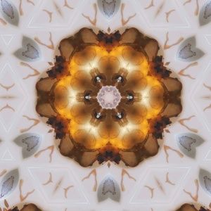 Meet your Posher, Norma