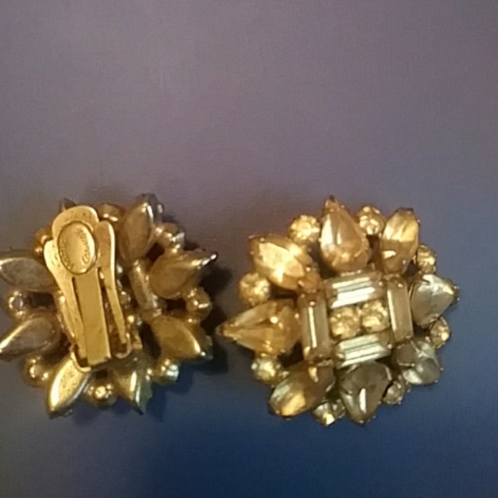 Clip on earnings