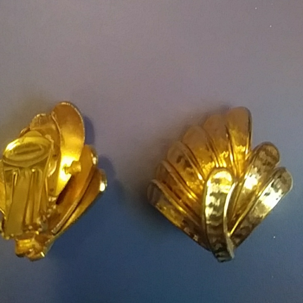 Clip on earnings