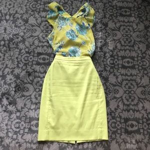 Zara Top and Jcrew skirt Zara Top and Jcrew skirt