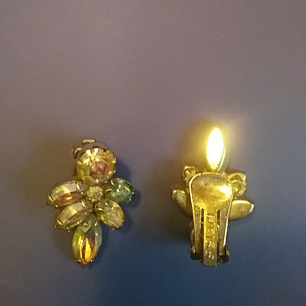 Clip on earnings