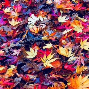 Meet your Posher, Sheree