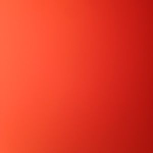 Meet your Posher, Hayden