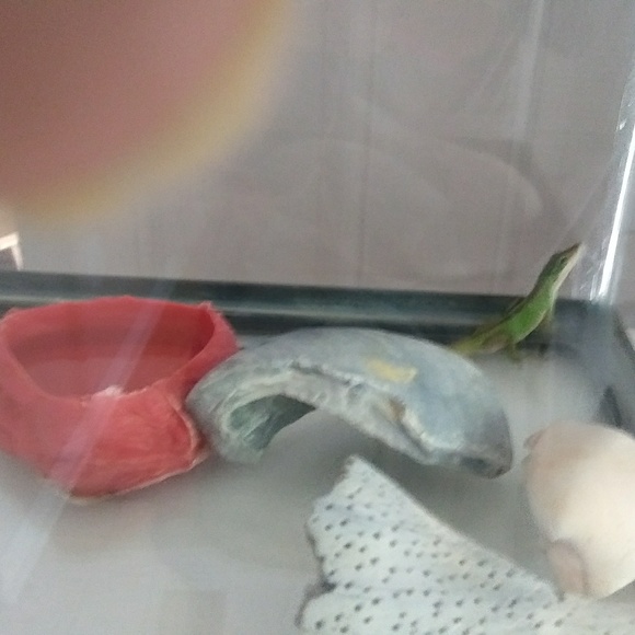 Blessed 🎂 - Picture 2 of 3