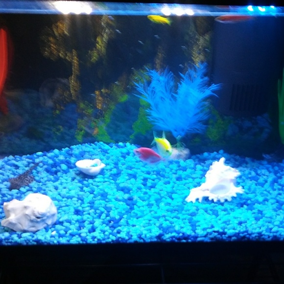 Blessed 🎂 - Picture 3 of 3