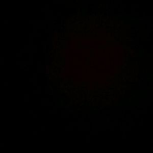 Meet your Posher, Raven