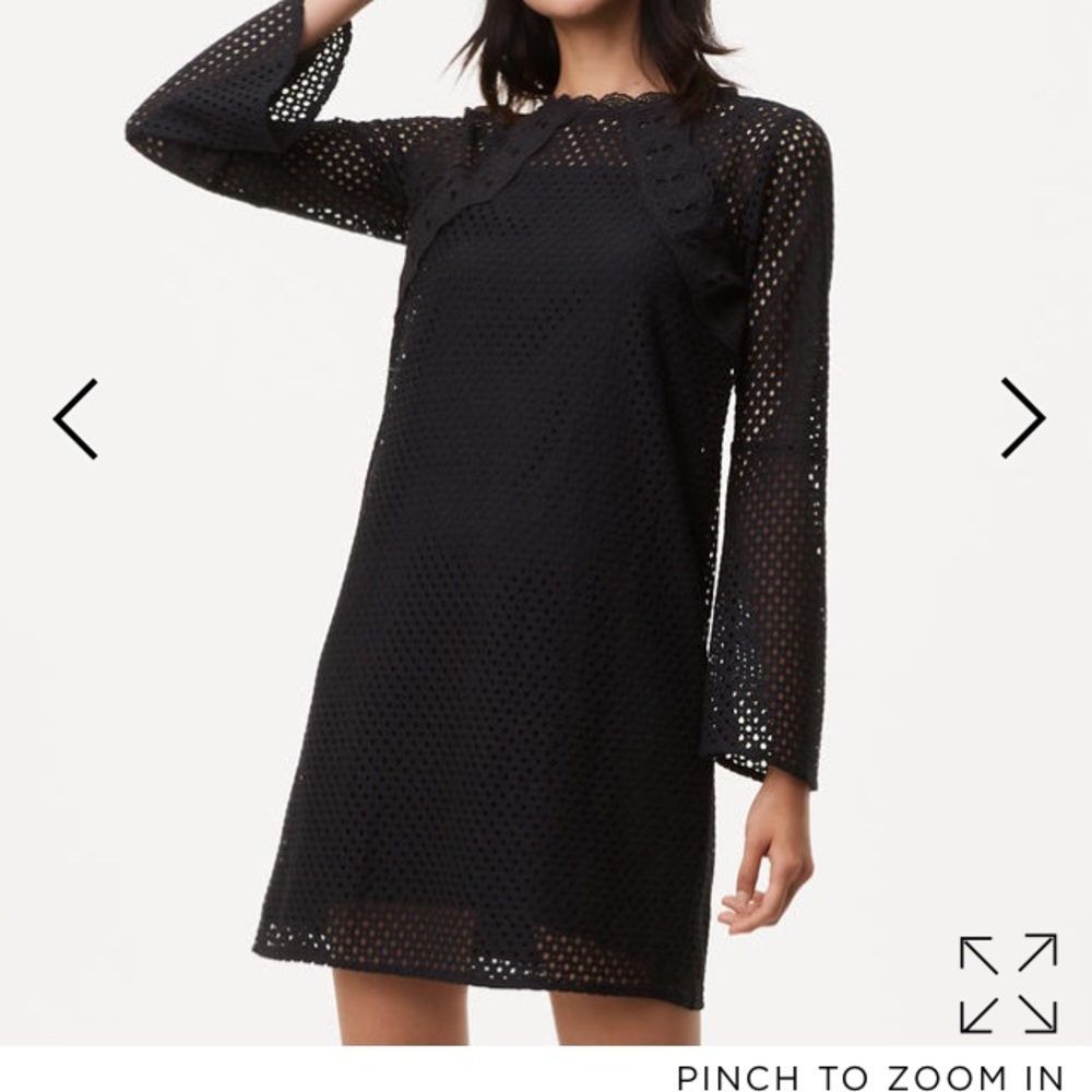 Loft Mesh lace dress with bell sleeves