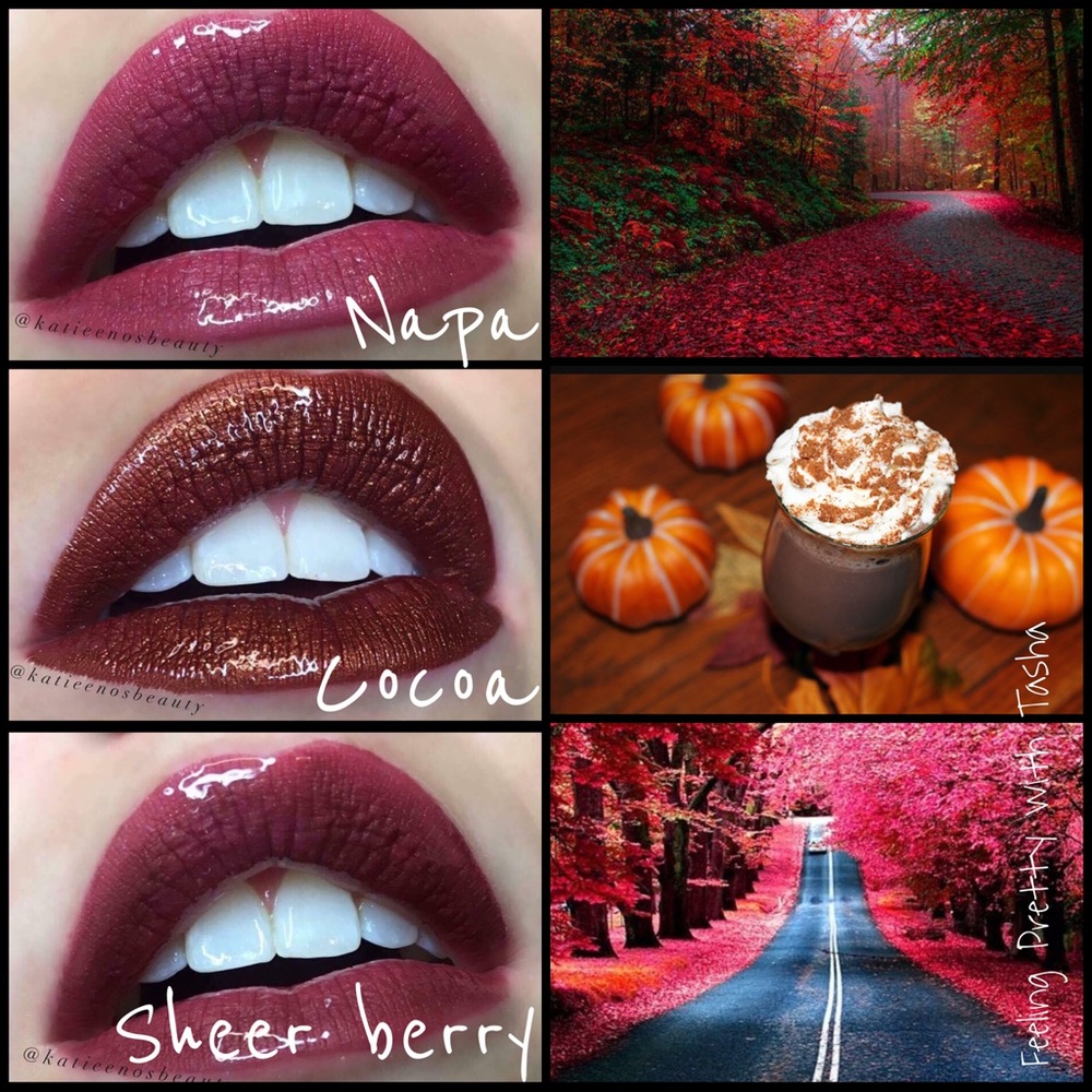 Lipsense is here with these Fall beauties!