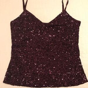 NWT The Limited Sequined V-neck Camisole