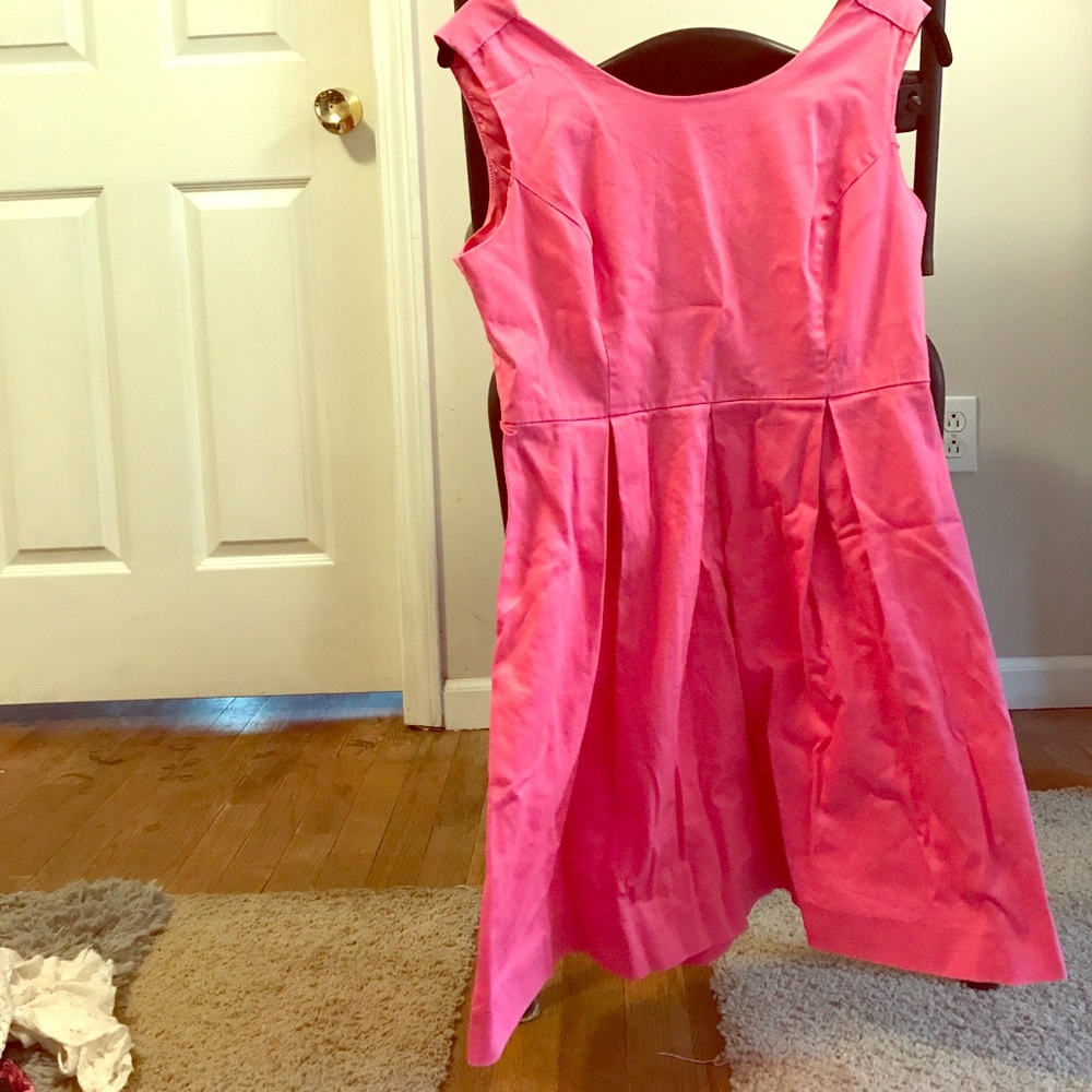 Pink Princess Cut Dress