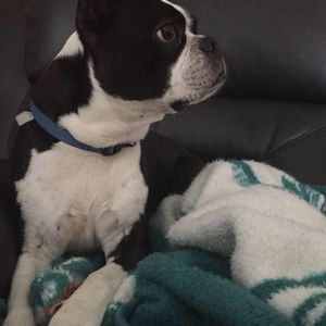 Meet your Posher, Chance