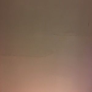 Meet your Posher, Eleanor