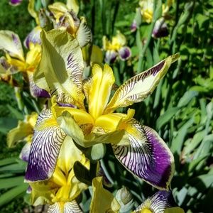 Meet your Posher, Krista