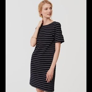 Navy Bell Short Sleeve LOFT dress!