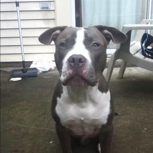 Meet your Posher, Destiny