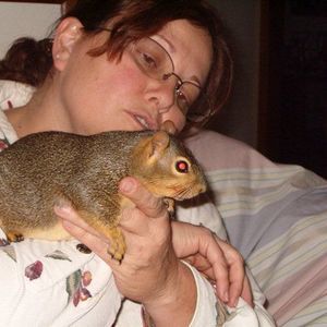 Meet your Posher, Janet