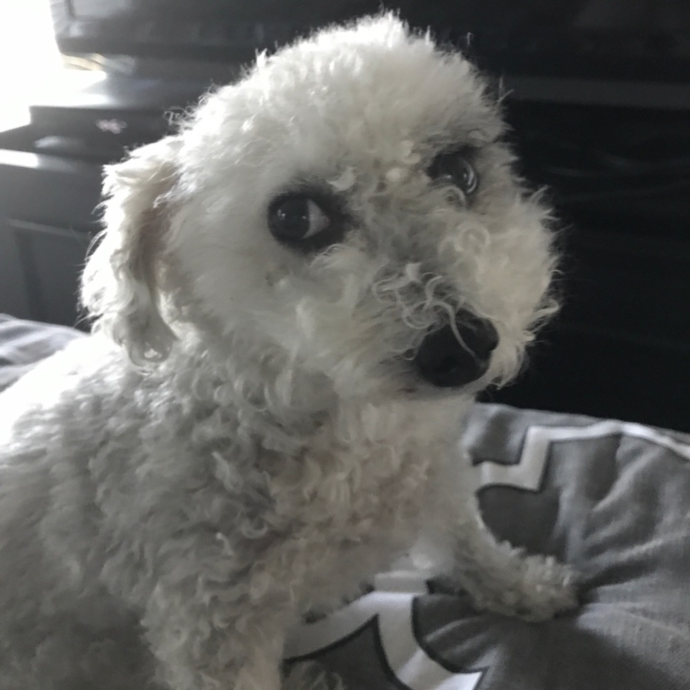 Meet your Posher, Lesa