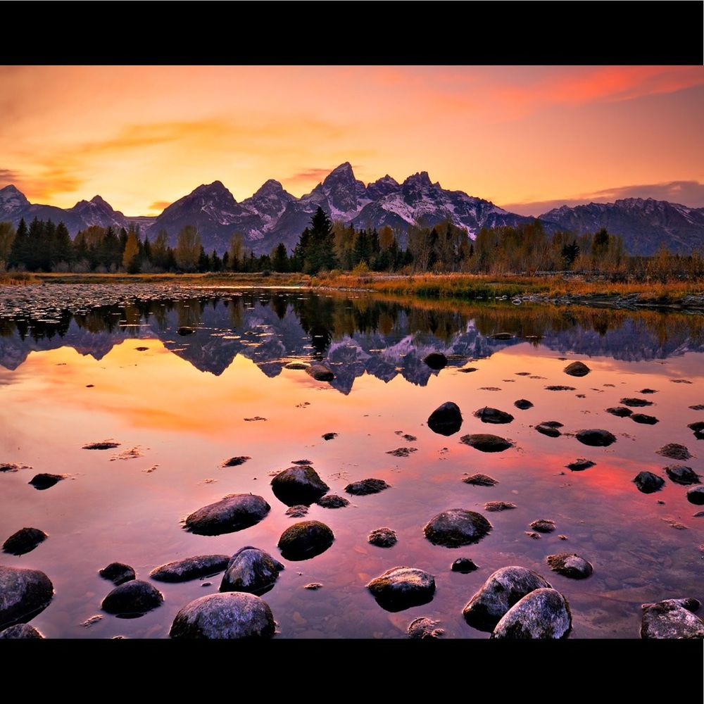 Meet your Posher, Angelina