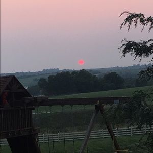 Meet your Posher, Ellen