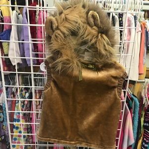 Lion Costume