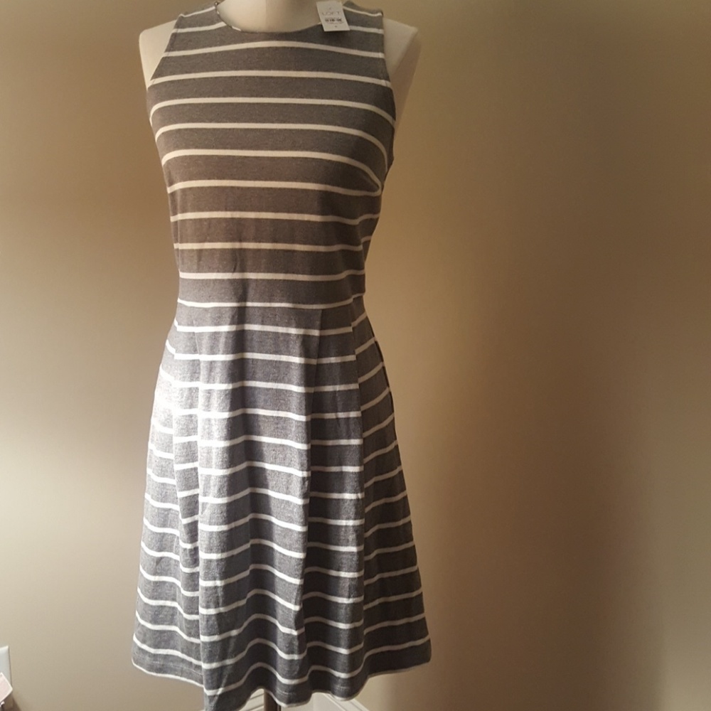 LOFT striped dress