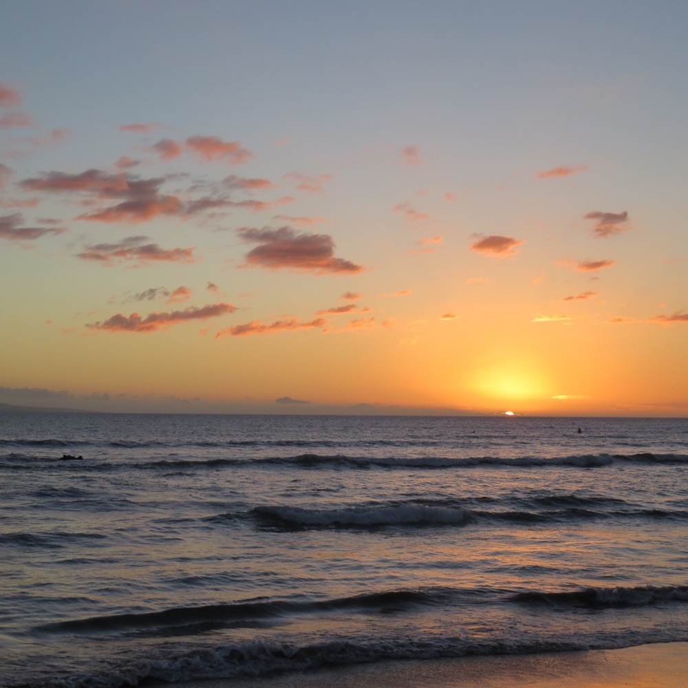 Meet your Posher, Nevaeh