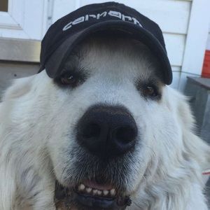 Meet your Posher, Emma