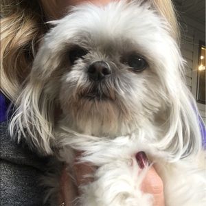 Meet your Posher, Jayne