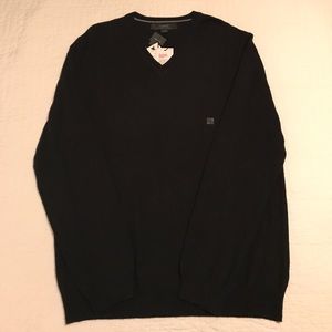 NWT Express Merino Wool V-Neck Sweater